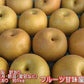 梨 訳あり（豊水・秋月・新高・愛宕など）約5kg（約5～24玉