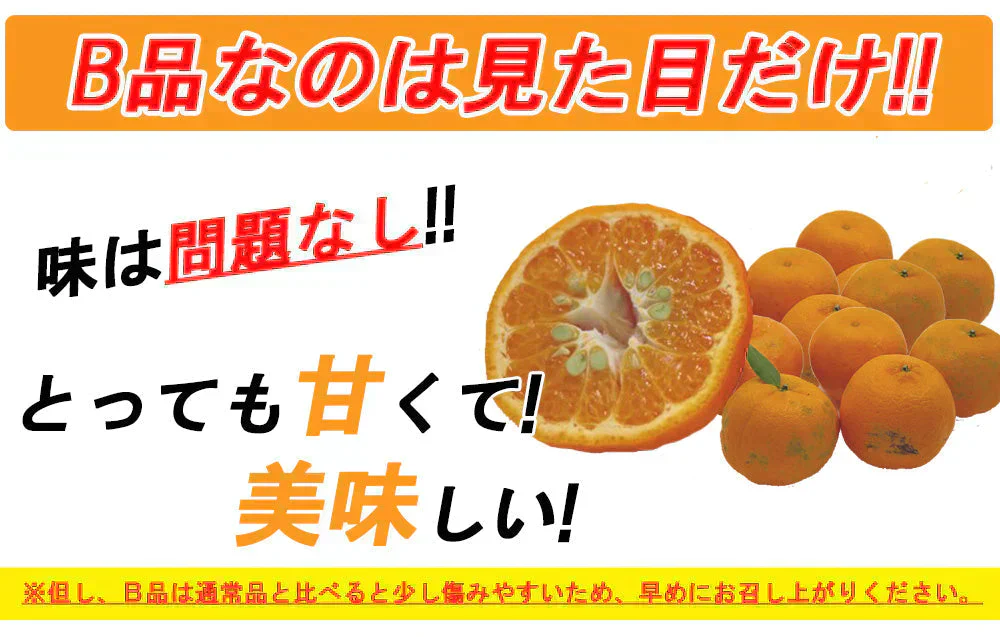 ポンカン 訳あり 愛媛 5kg 送料無料 ご家庭用 箱買い サイズミックス みかん 蜜柑 産地直送 愛媛県産 YDF-003