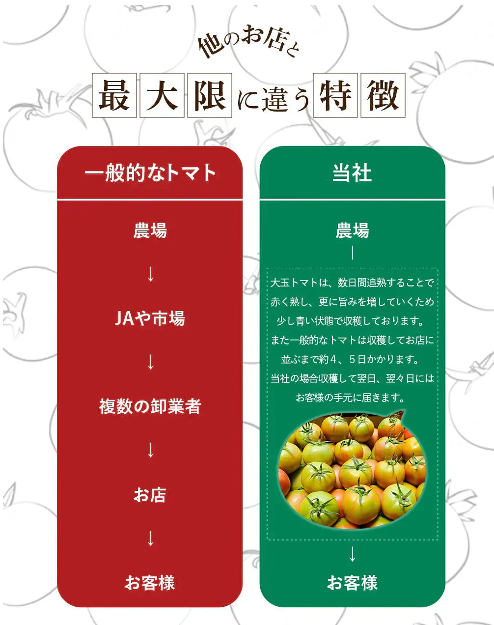 送料無料　訳あり ソムリエ トマト 5.5～6.5kg（18玉～36玉)【最安値挑戦祭】