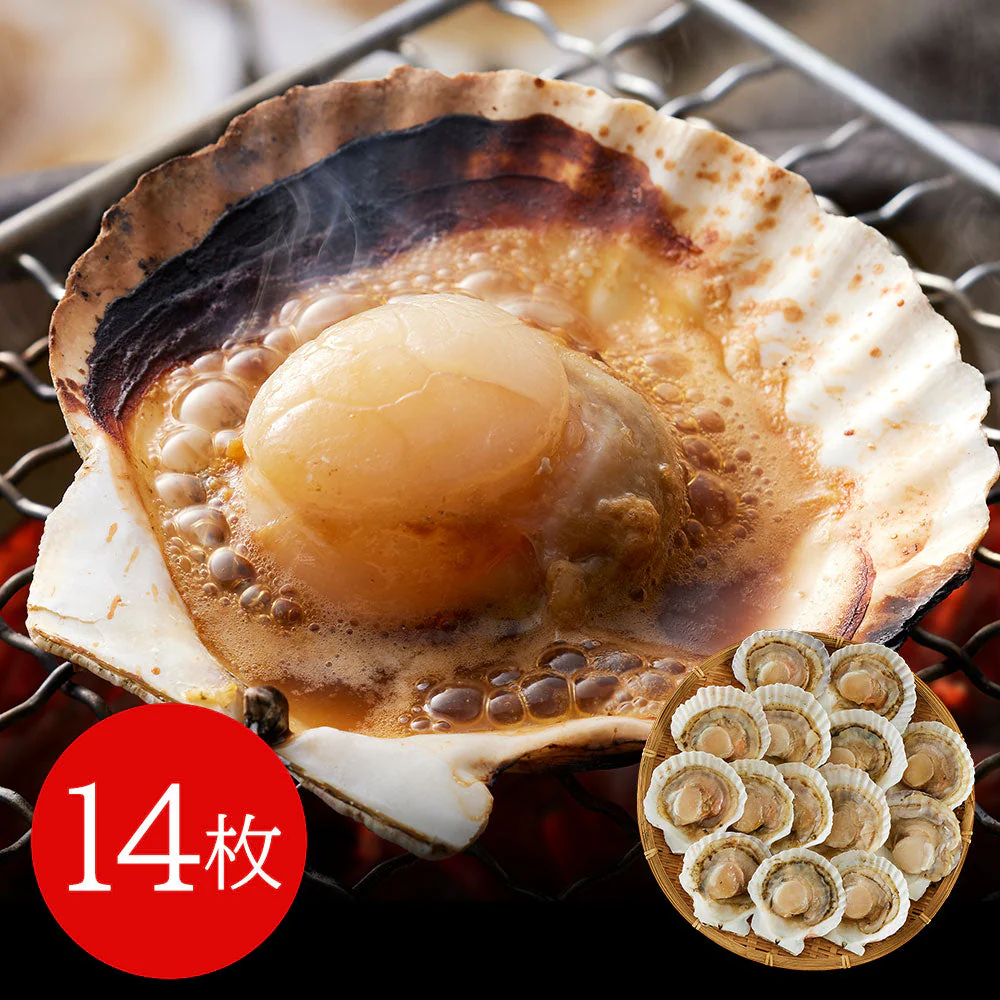 北海道産 帆立片貝 14枚(75g×14) 貝類 ホタテ【送料込み】【二重包装不可】【お届け不可地域：離島】