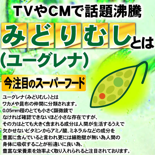 【約6ヵ月分/360粒入り】ユーグレナ ダイエッター必見の話題の成分 クロレラ ビタミン 酵素 大麦若葉 サプリメント サプリ 大容量 送料無料 ユーグレナ約6ヵ月分（360粒）