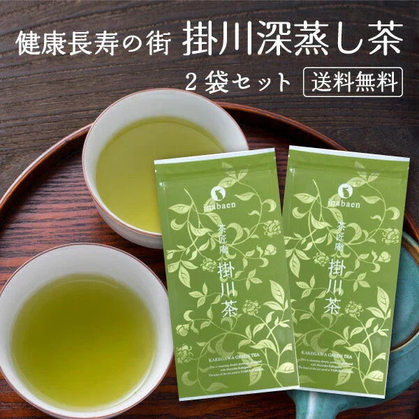 【2個セット】日本橋いなば園 静岡深蒸し茶 掛川茶 100g メール便 送料無料