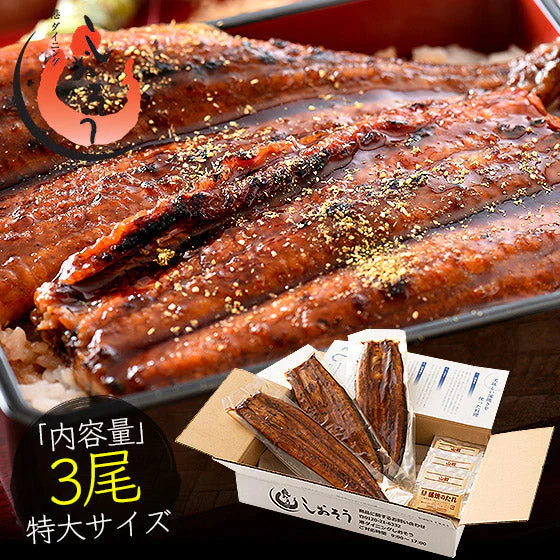 うなぎ 蒲焼き 無頭 鹿児島県産 国産 特大サイズ 約200g×3尾 ウナギ 鰻 ［送料無料］ 母の日 プレゼント ギフト  母の日思いの 健康 実用的 父の日 子供 孫