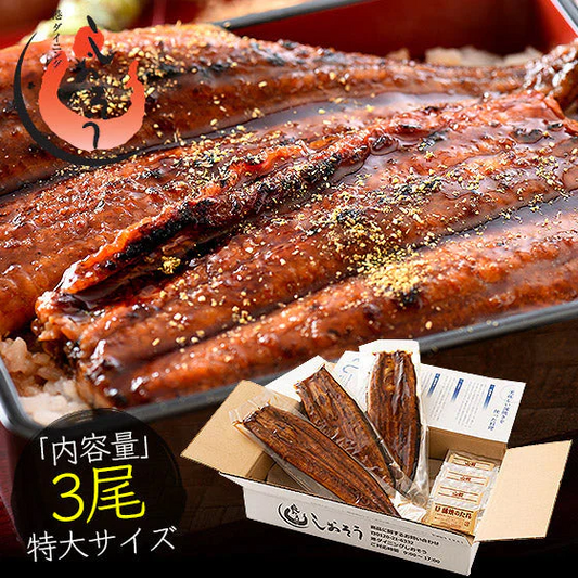 うなぎ 蒲焼き 無頭 鹿児島県産 国産 特大サイズ 約200g×3尾 ウナギ 鰻 ［送料無料］ 母の日 プレゼント ギフト  母の日思いの 健康 実用的 父の日 子供 孫