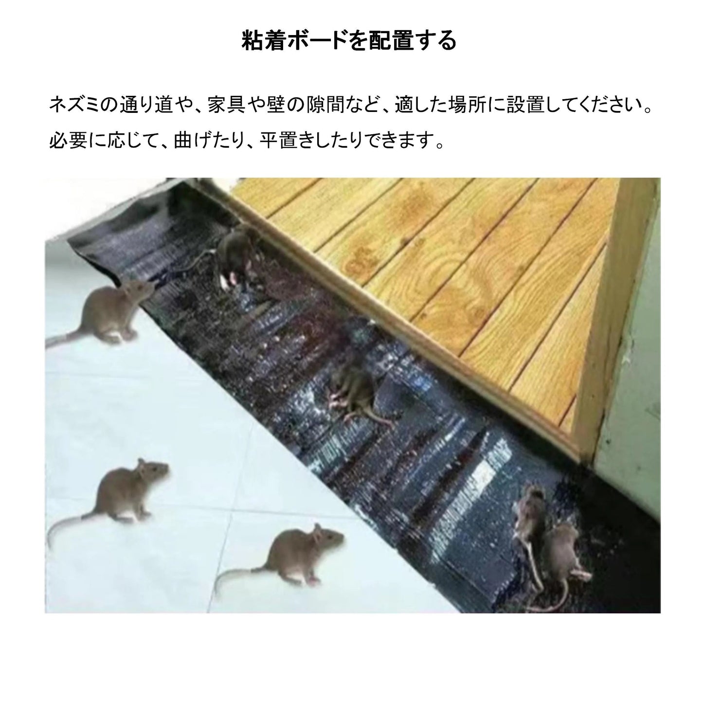 ネズミ捕りシート 5枚セット 60×28cm 強力粘着 ネズミ駆除 フィルム 黒色 シート 折りたたみ 収納可 簡単 設置 回収 マウス 捕獲 香り付き 家 室内 倉庫 家庭用