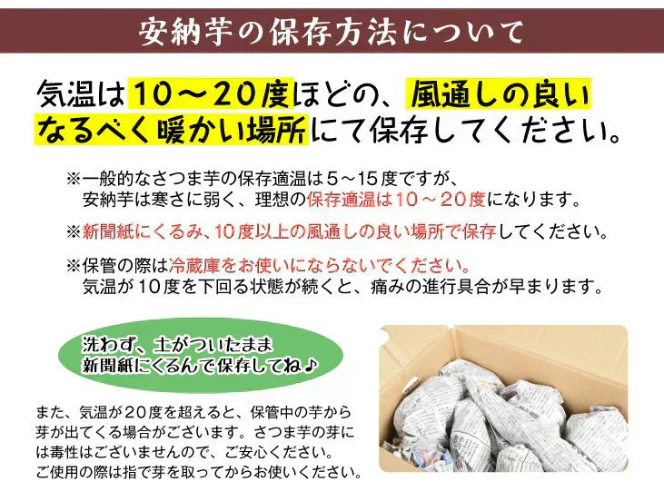 安納芋 2kg 種子島産 訳あり【2025年1月中旬より発送】