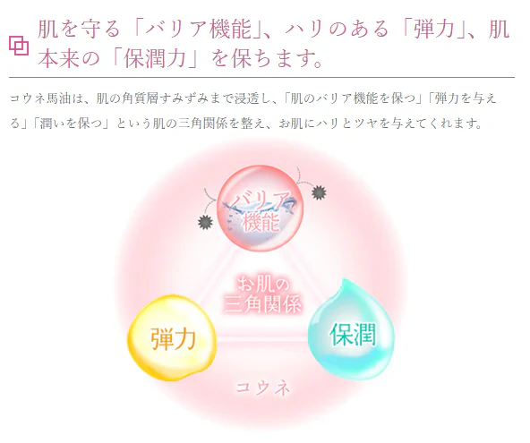 馬油プラセンタ化粧品 コウネ スキニーローション〈初回限定〉トライアルサンプルセットをプレゼント★　化粧水　保湿　潤い　乾燥　スキンケア　コラーゲン　エラスチン　ヒアルロン酸　しっとり　ギフト