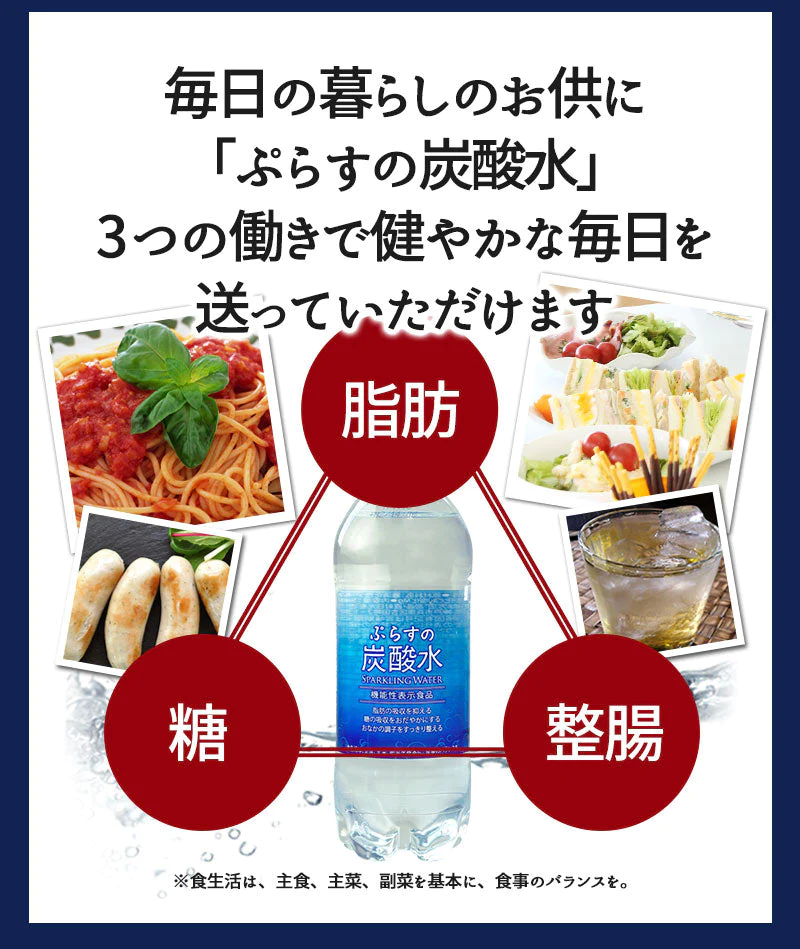 脂肪の吸収を抑える炭酸水 ぷらすの炭酸水 500mlPET×24本[脂肪 糖 整腸][機能性表示食品][賞味期限：1ヶ月以上]【1〜2営業日以内に出荷】【送料無料】強炭酸水 割材 ソーダ ダイエット