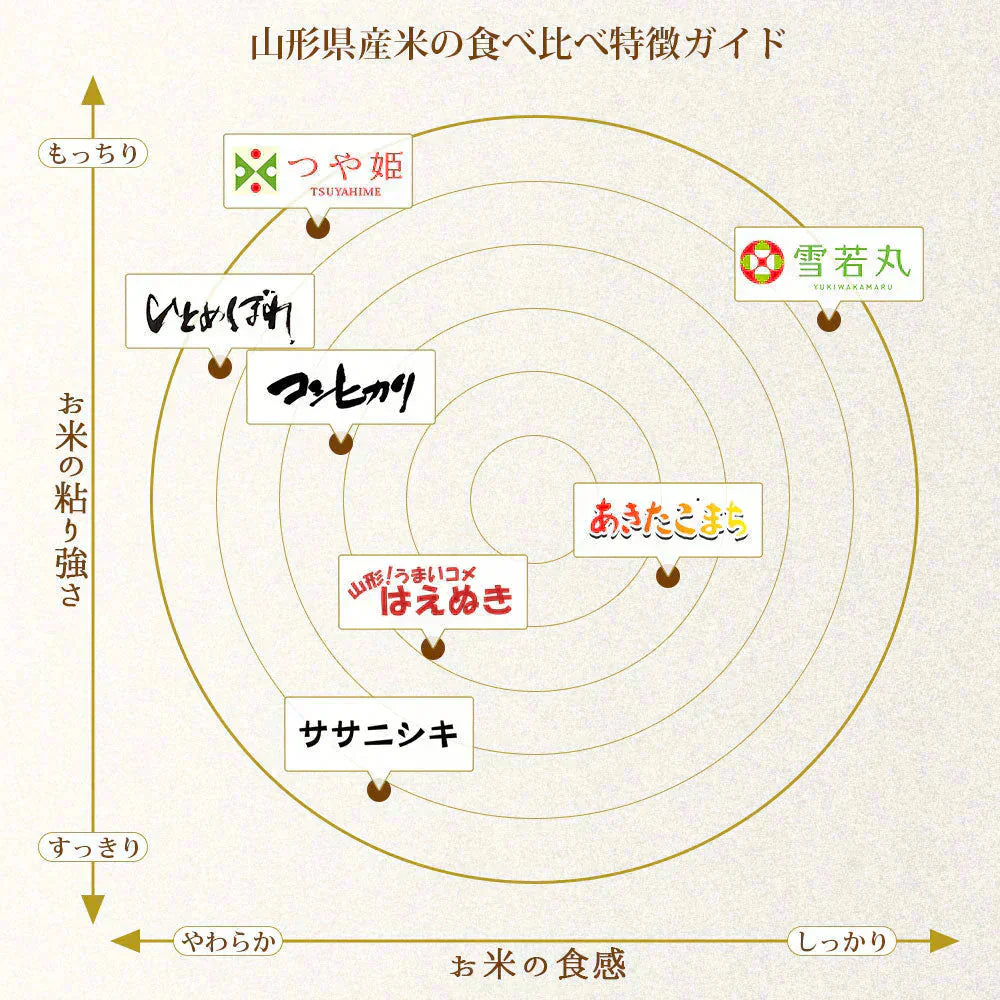つや姫 白米 20kg (5kg×4袋) 山形県産 令和7年産 送料無料 米 20キロ こめ コメ お米 精米 新米 お米20kg つや姫20kg つや姫20キロ