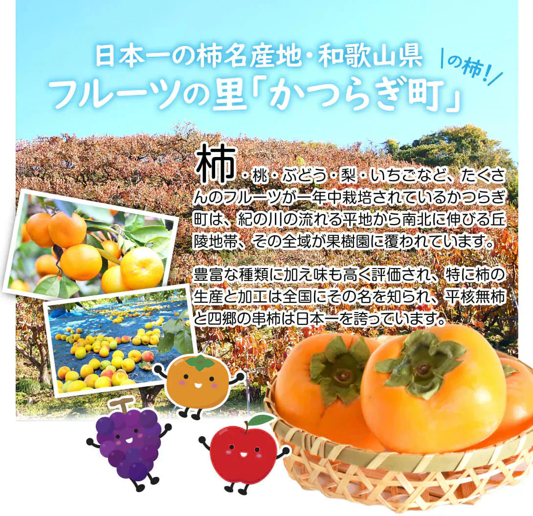 あんぽ柿 特大 和歌山産 70～80g×4個