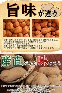 岩手県産 じゃがいも 5kg 無農薬栽培 きたあかり
