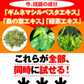 healthylife カロリパクパク【 ギムネマ インゲン 水溶性食物繊維 カロリーを気にする方に！配合ダイエットサプリメント】９０粒 約３０日分  白インゲン豆エキス キチンキトサン ギムネマシルベスタエキス 桑の葉エキス 緑茶エキス 配合 おすすめ 人気 ランキング 効果 強力 最強 通販 日本製 国産 健康サプリ 健康食品