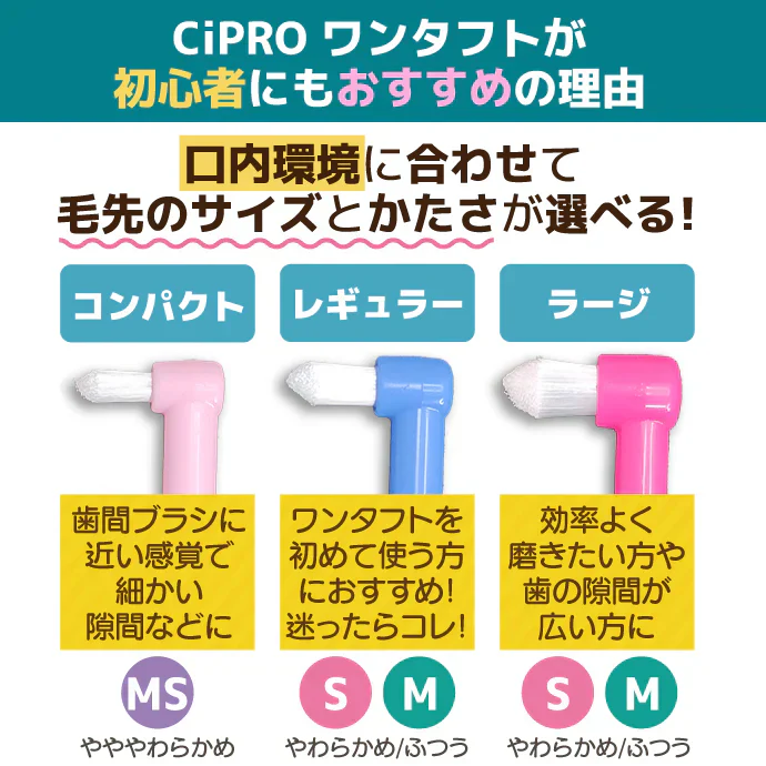 Ci PRO ワンタフトブラシ コンパクトヘッド MSやややわらかめ 10本セット【メール便送料無料】
