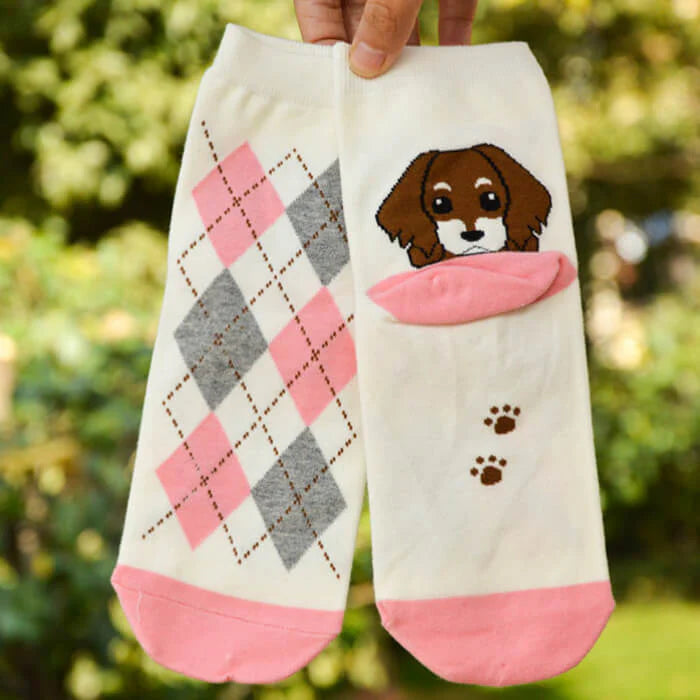 【予約商品・発送時期は商品説明に記載】犬 靴下 6足セット 犬柄 イヌソックス かわいい ボーダー ショートソックス いぬ 靴下 くつ下 ソックス カジュアル 人気 アーガイル 肉球 ランキング 春 夏 秋 冬 女性 レディース 子供 送料無料 ギフト プレゼント