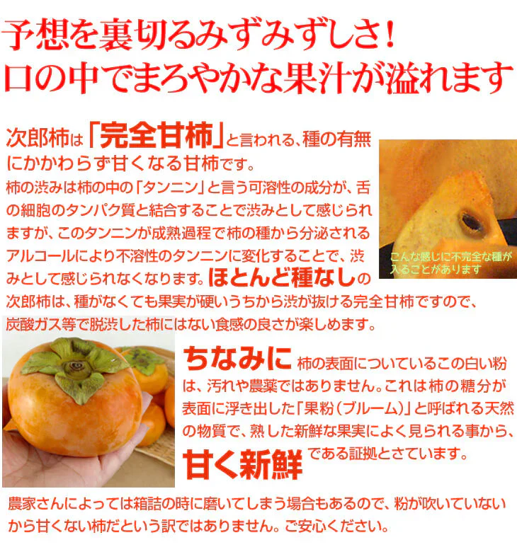 【数量限定】次郎柿 ご家庭用 約10kg 愛知産 甘柿（発送予定：10月下旬より）