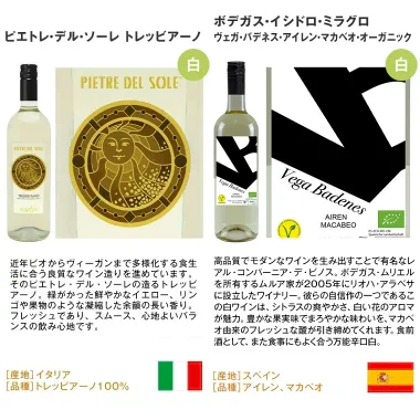 ワインセット 辛口 白ワイン スパークリングワイン 入り 10本 パーティーパック [常温]【4～5営業日以内に出荷】【送料無料】[W][WT10] 辛口ワイン 飲み比べ ワインギフト 母の日 父の日 ギフト