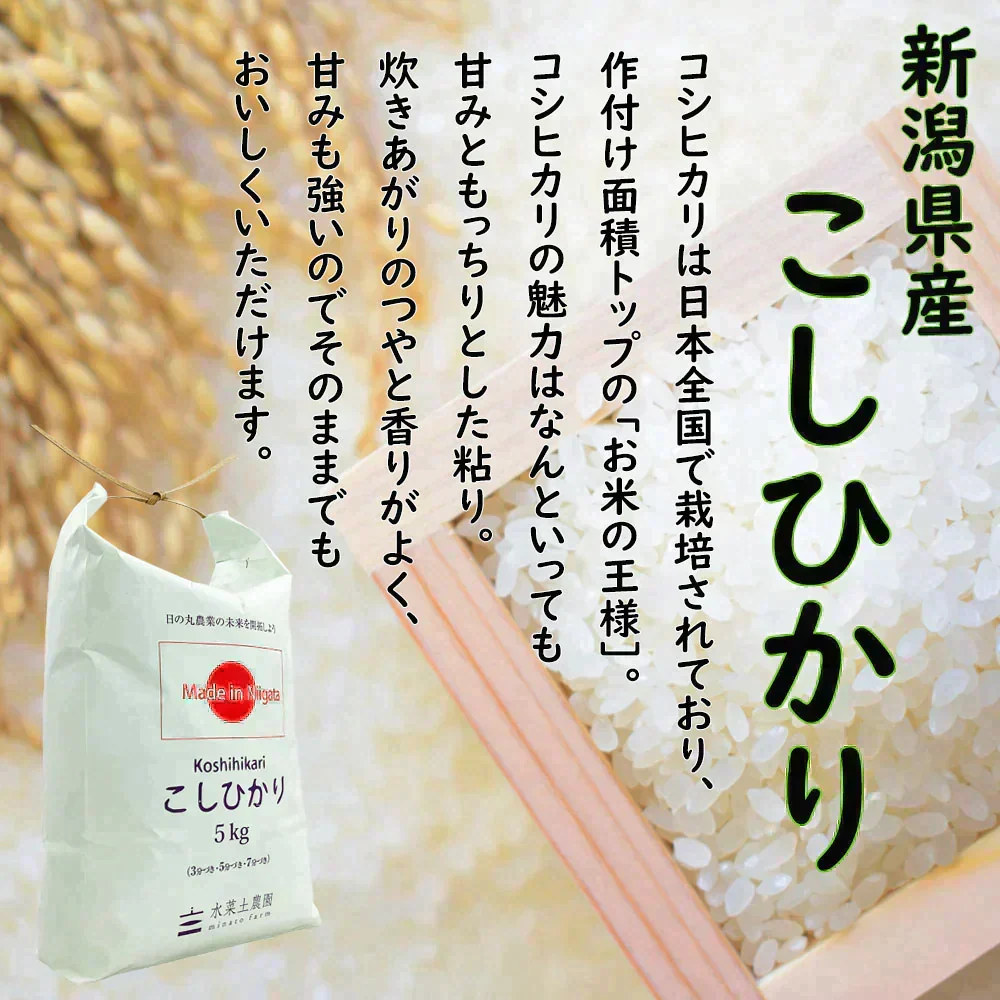 新潟県産 こしひかり 精米30kg（5kg×6袋） 令和7年産 【古代米プレゼント付き】
