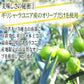 香る オリーブオイル 7.3g×20個セット エキストラバージンオリーブオイル 送料無料 メール便限定 使い切りタイプ スーパーフード