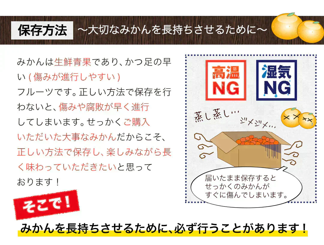 小玉 みかん 訳あり 送料無料 1.5kg 小粒 ミカン 柑橘 熊本 極早生 3s-sサイズ 家庭用 7-14営業日以内に出荷予定(土日祝除く)【ご新規さん限定商品】