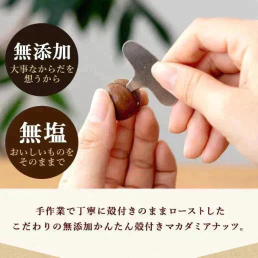殻付きマカダミアナッツ 300g 送料無料