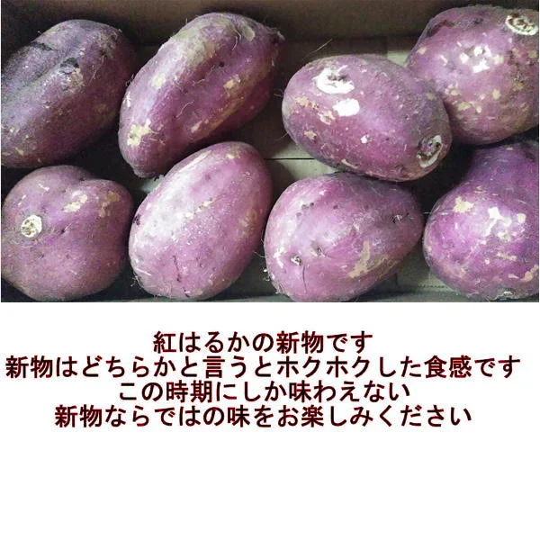 訳あり 紅はるか 箱込5キロ(4.5kg+保証分500g) 新物 サイズおまかせ さつまいも 蜜芋 80サイズ　熊本産 送料無料