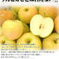 即日発送！青森県産 りんご トキ 10kg箱 家庭用/訳あり ★トキ 家訳 10kg箱
