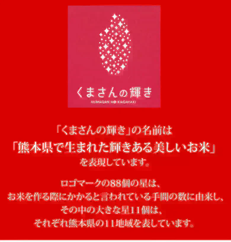 くまさんの輝き 無洗米 送料無料 計900g（300g×3袋） お試し 令和7年産 熊本県産 お米 白米 玄米 コシヒカリ ヒノヒカリ 森のくまさん
