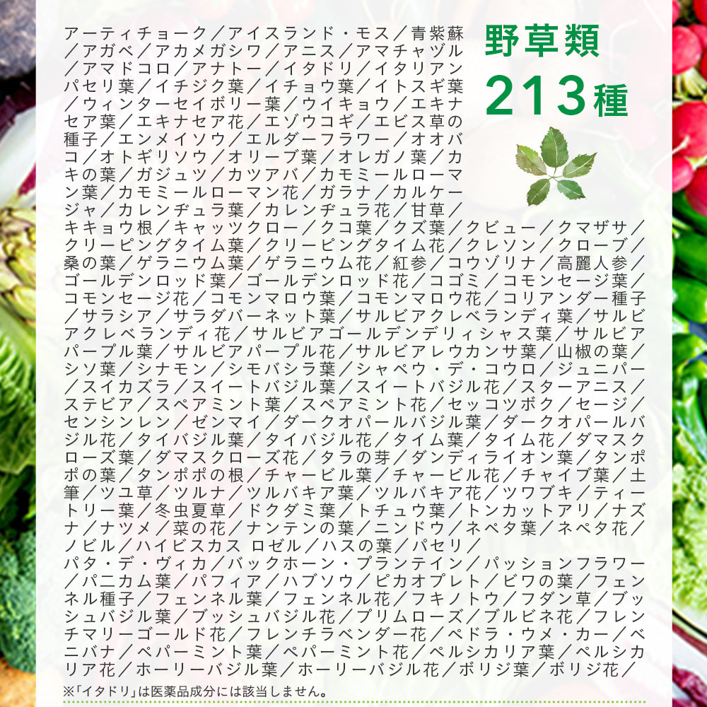 まいにち酵素《約1ヶ月分》野草 果実 海藻 キノコ 豆類を使用 送料無料 酵素サプリ