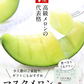 九州産 マスクメロン 2Lサイズ 秀品 1玉 約1.2kg 送料無料 熨斗対応 ギフト プレゼント メロン 贈答 フルーツギフト 贈り物  《7-14営業日以内に出荷予定（土日祝除く）》