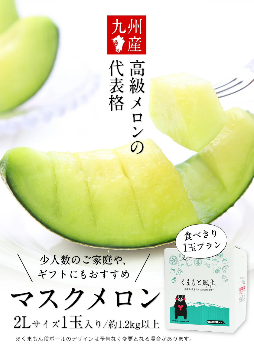 九州産 マスクメロン 2Lサイズ 秀品 1玉 約1.2kg 送料無料 熨斗対応 ギフト プレゼント メロン 贈答 フルーツギフト 贈り物  《7-14営業日以内に出荷予定（土日祝除く）》