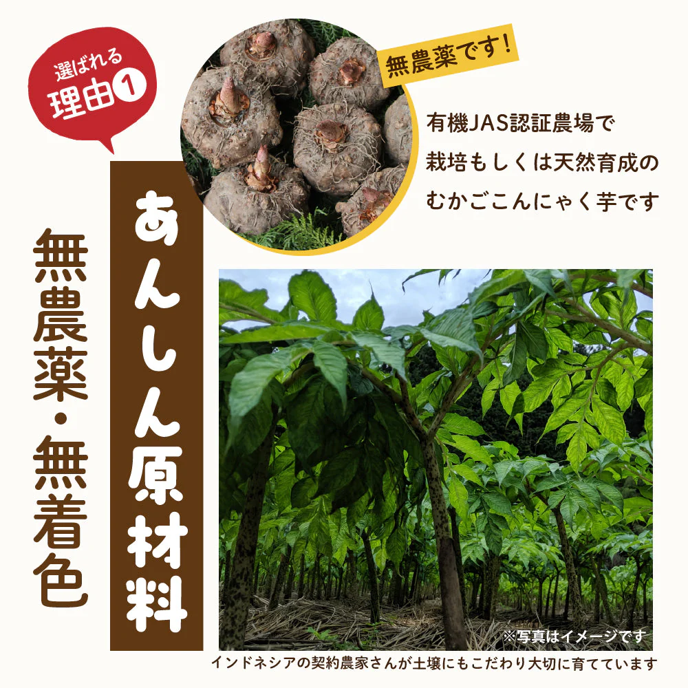 雑穀 雑穀米 糖質制限 こんにゃく米(乾燥) 5kg(500g×10袋) 徳用サイズ 送料無料