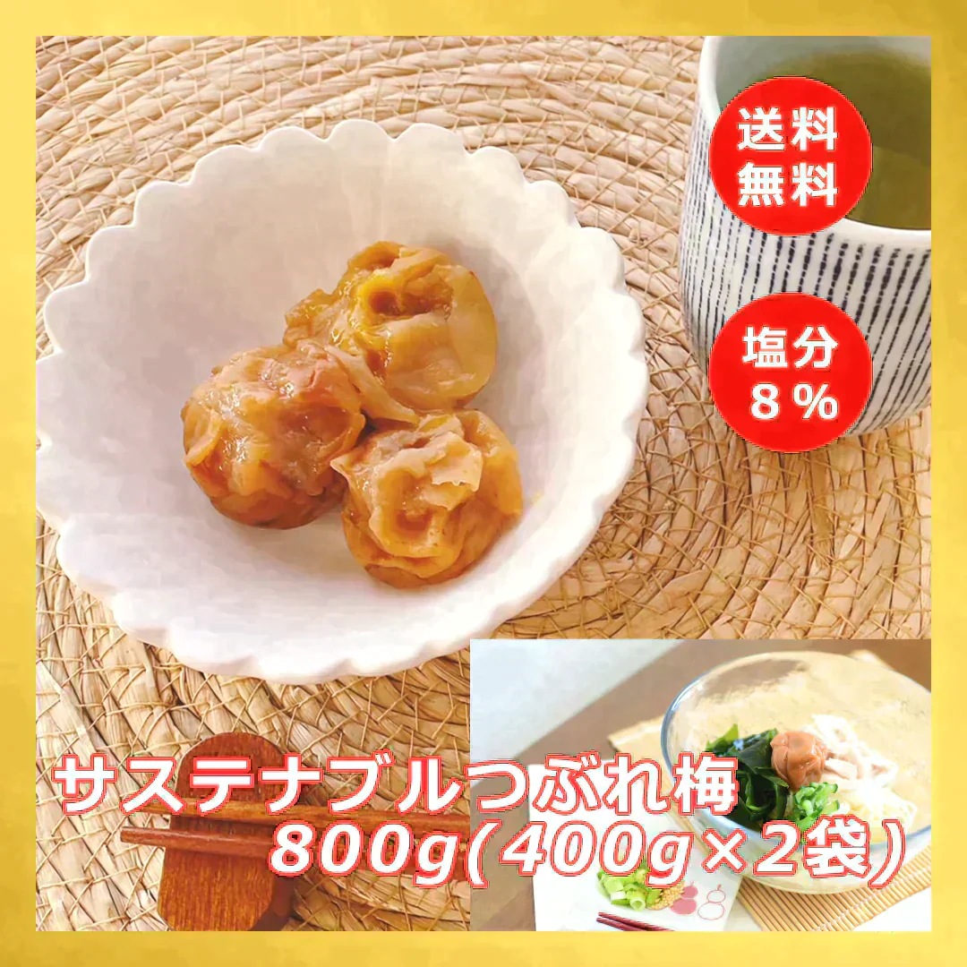 【全国一律送料無料】800ｇつぶれ梅（はちみつ入）400ｇ×2袋セット【エコ得】