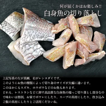 【送料無料】国産白身魚切り落とし1kg［500g×2P］セット ［冷凍］【2～3営業日以内に出荷】