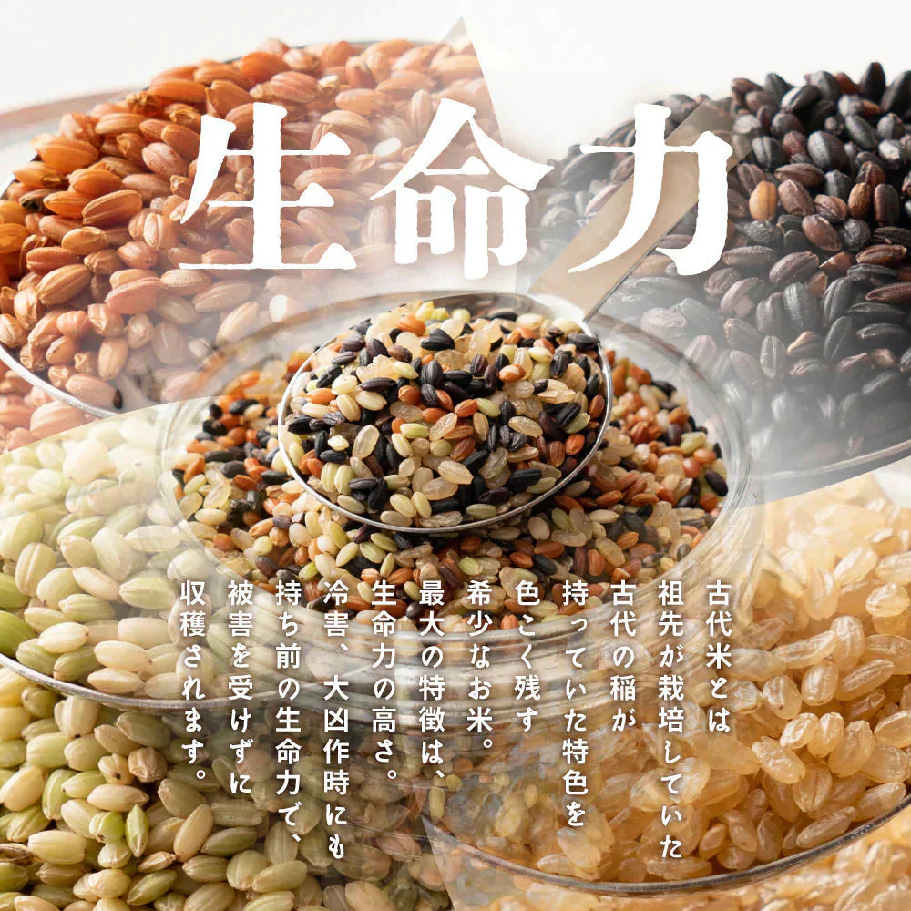 雑穀 雑穀米 国産 古代米４種ブレンド 24kg(400g×60袋) [黒米/赤米/緑米/発芽玄米] 無添加 無着色 業務用サイズ 送料無料