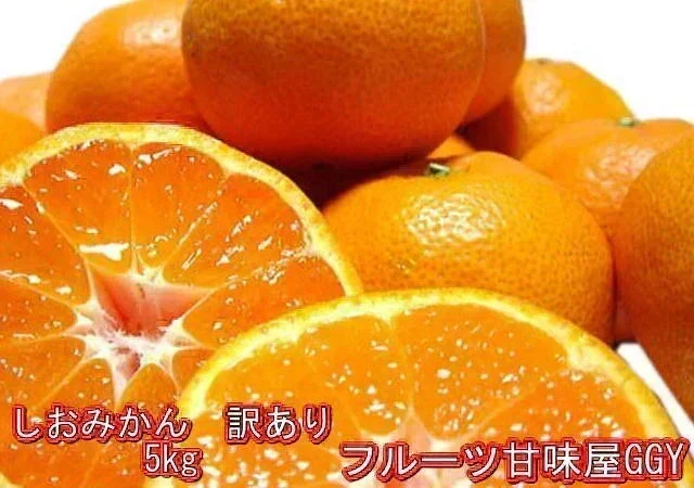 【11月上旬頃～12下旬頃順次発送】しおみかん  5kg みかん 熊本産 訳あり ご家庭用 80サイズ