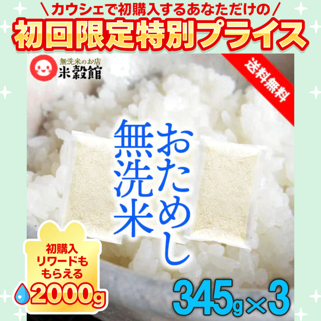 おためし 無洗米 九州産米 345ｇ×3個セット ネコポス発送【ご新規さん限定商品】