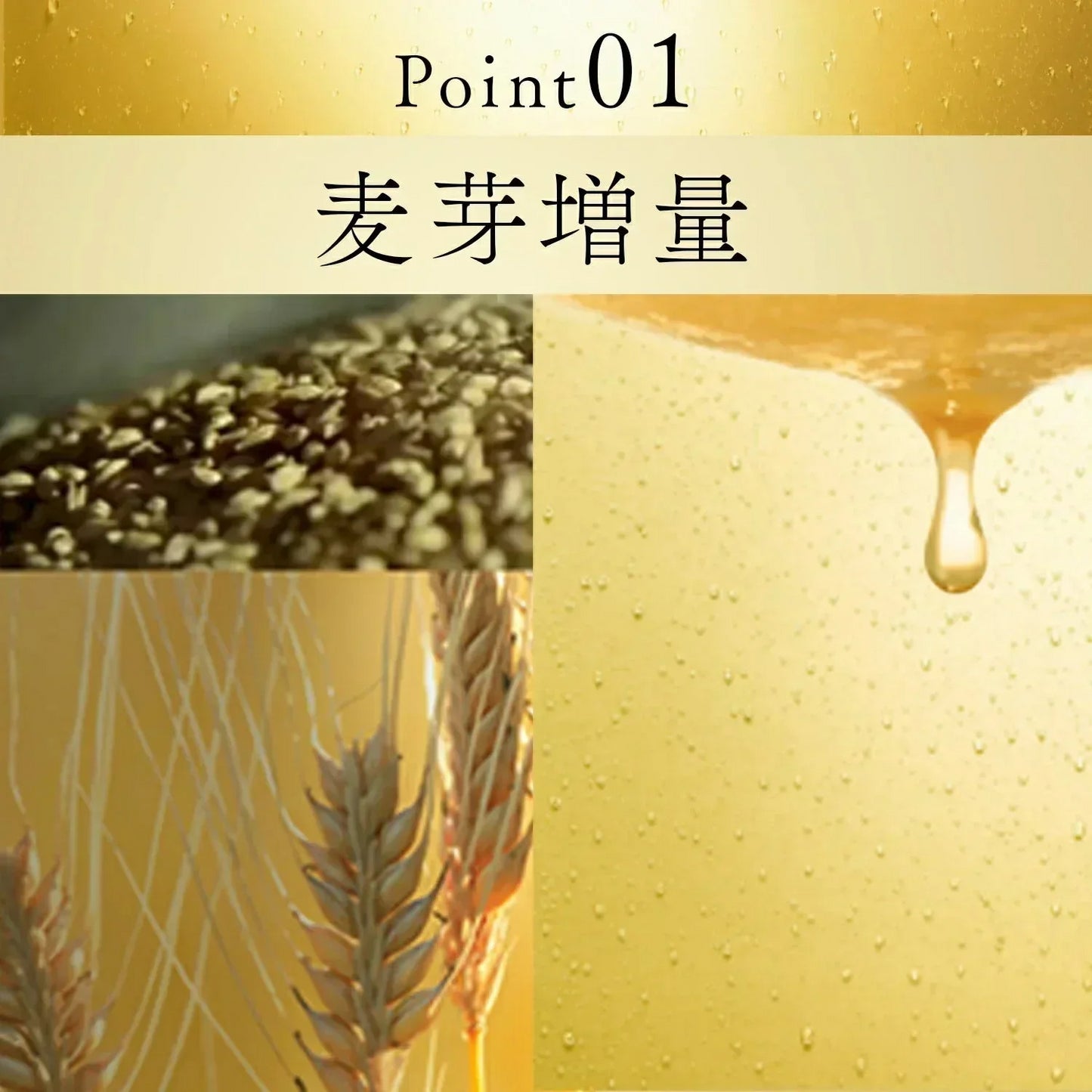 キリン 一番搾り 糖質ゼロ 350ml×2ケース/48本 YTR