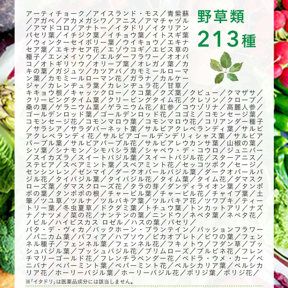 まいにち酵素《約3ヶ月分》野草 果実 海藻 キノコ 豆類を使用 送料無料 酵素サプリ