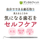 片頭（片刃）スケーラー #H5 【歯石取り】【歯垢取り】【ヤニ取り】【メール便送料無料】