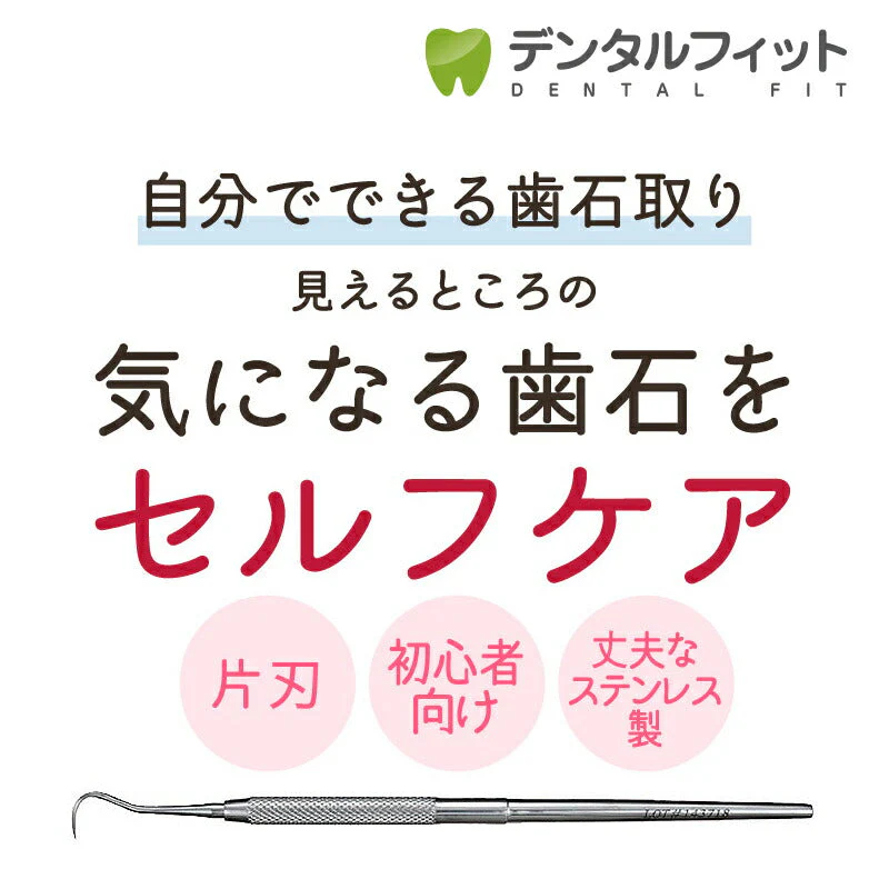 片頭（片刃）スケーラー #H5 【歯石取り】【歯垢取り】【ヤニ取り】【メール便送料無料】