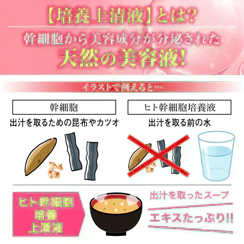 『ポーテニアセラム（★お得な2本セット★）』 ヒト幹細胞培養上清液 エクソソーム スキンケア コスメ 美容液 保湿 肌荒れ くすみ 敏感肌 乾燥肌 毛穴 ニキビケア シミ しわ たるみ ハリ 化粧ノリ パラベンフリー アルコールフリー 無香料 ポーテニアセラム