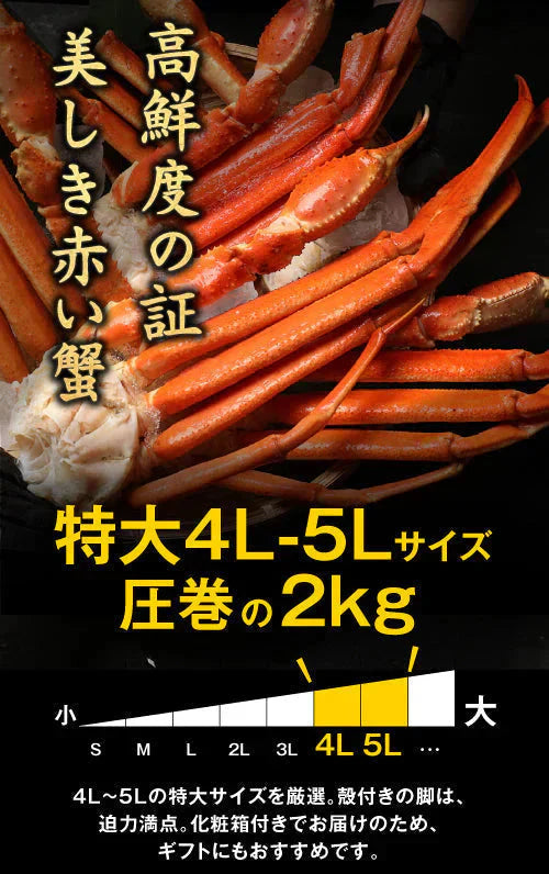 送料無料  ズワイ ずわい 蟹 かに カニ  ズワイガニ 4L 5L 約2kg(正味1.6kg、4肩〜6肩入)ロシア産・ノルウェー産