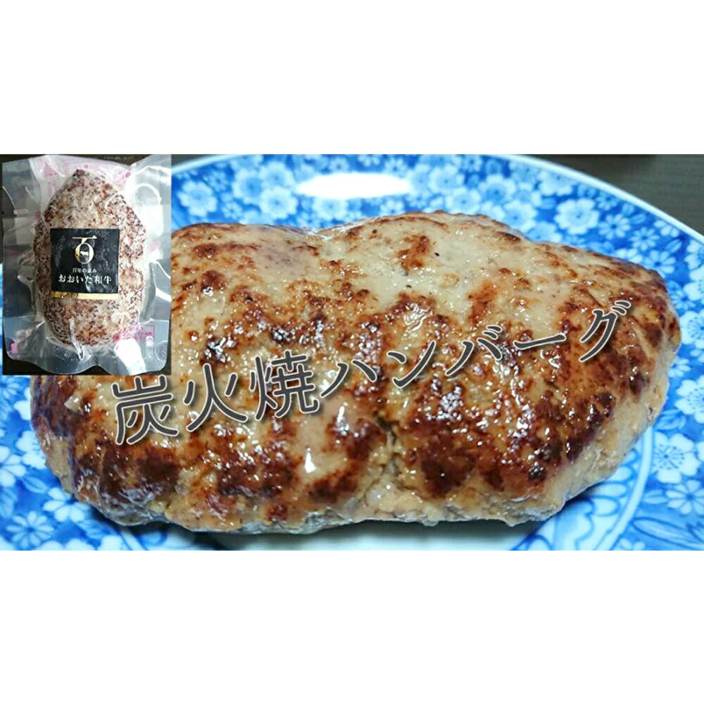 ハンバーグ4種【送料込み】【お届け不可地域：北海道・沖縄・離島】