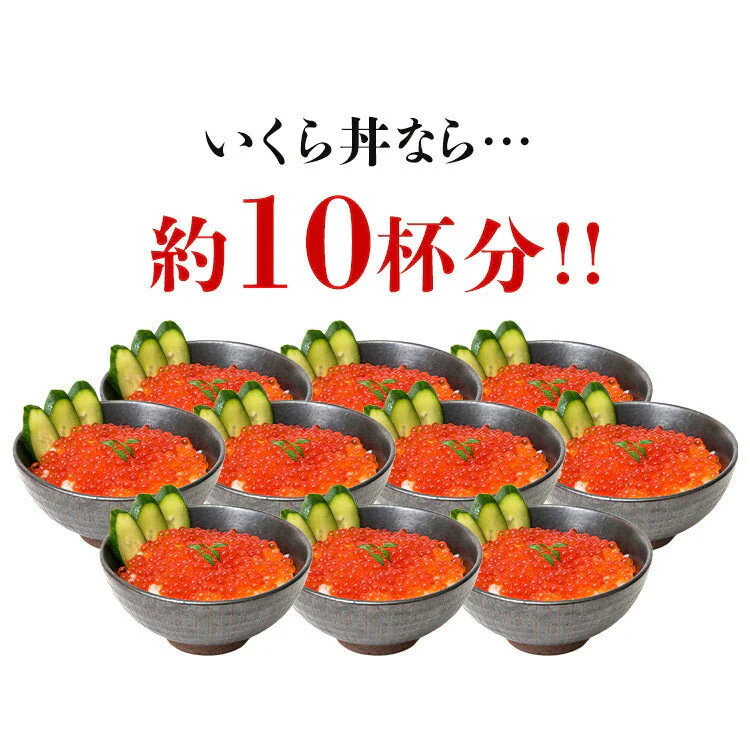 【超シェア買い祭】紅鮭いくら 醤油漬け 500g(250g×2P) イクラ いくら さけ 鮭 サケ 小分け 海鮮 丼 軍艦 手巻き 寿司 ちらし ikura 送料無料 冷凍便 お取り寄せグルメ 食品 ギフト 海鮮