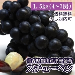 送料無料 完熟冬ぶどう スチューベン 特秀L＆Mサイズ混合 約3kg(約10～14房入)