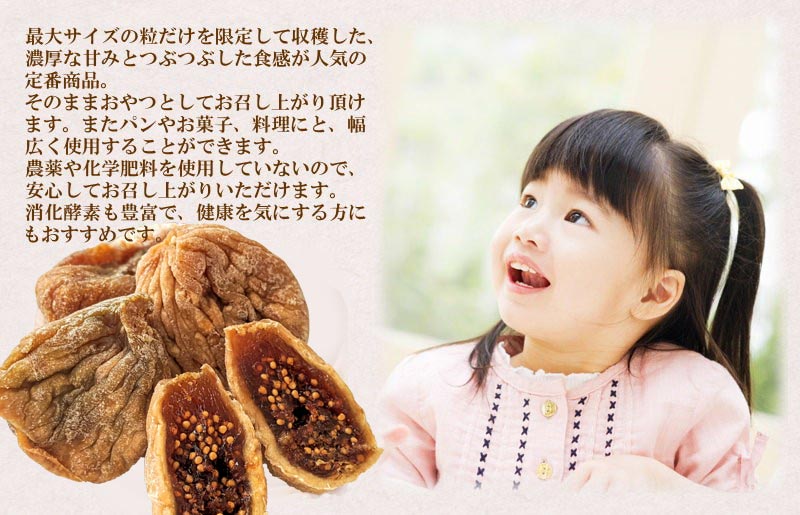 【3人シェア買いでお得】ドライ いちじく 650g トルコ産 無添加 ドライフルーツ
