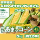 農家直送！メロンより甘い！博多あまっコーン4.5㎏（約12本）（冷凍）