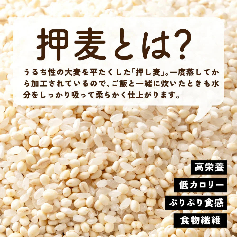雑穀 雑穀米 国産 家計お助け米 押麦ミックス 5kg(1kg×5袋)