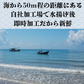 天然ブリ 冷凍 ブツ切り 2kg