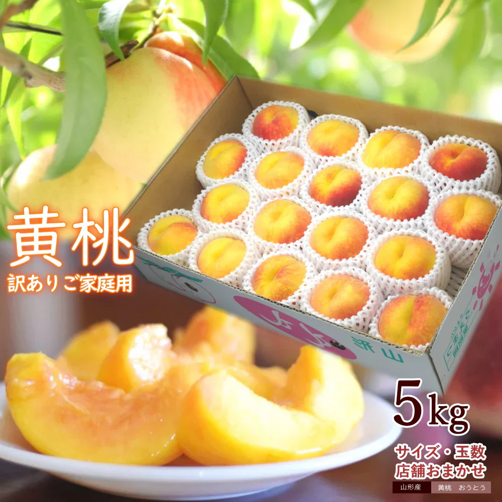 訳あり 黄桃 5kg前後 産地箱 モモ もも ピーチ サイズ・玉数おまかせ ご家庭用 送料無料 業務用 箱詰め 黄色い桃